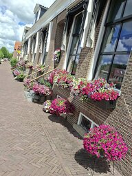 20260609_125509.jpg